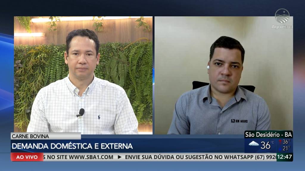Boi gordo mantém trajetória de valorização no Brasil