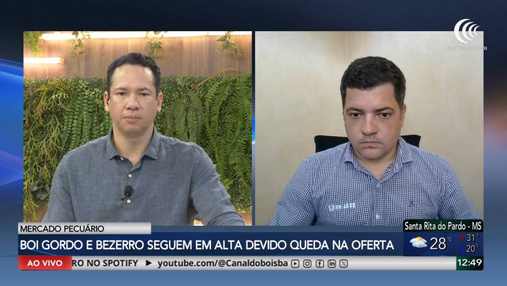 Relação de troca segue favorável no mercado pecuário
