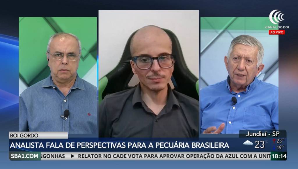 Movimento de alta ganha força no mercado do boi gordo