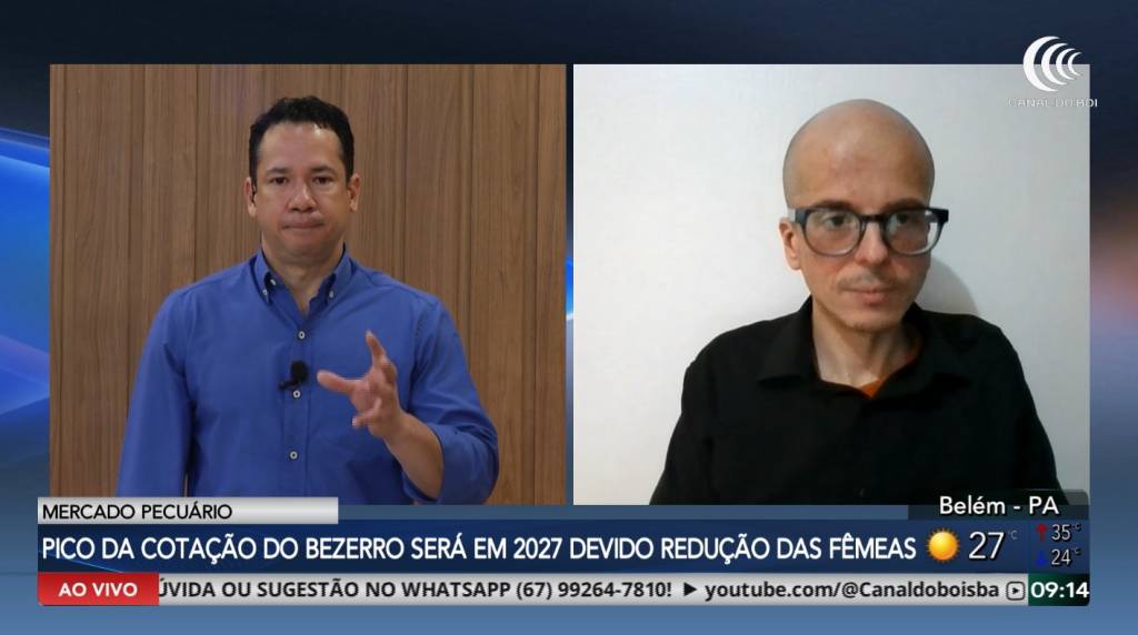 Redução na oferta de fêmeas pressiona cotações do boi gordo