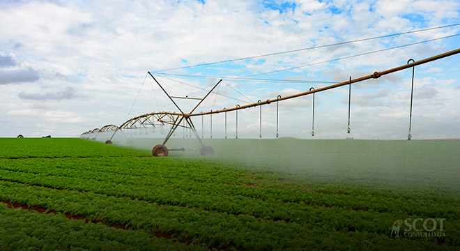  MIDR lançará aplicativo gratuito para orientar irrigação de pequenos e médios produtores