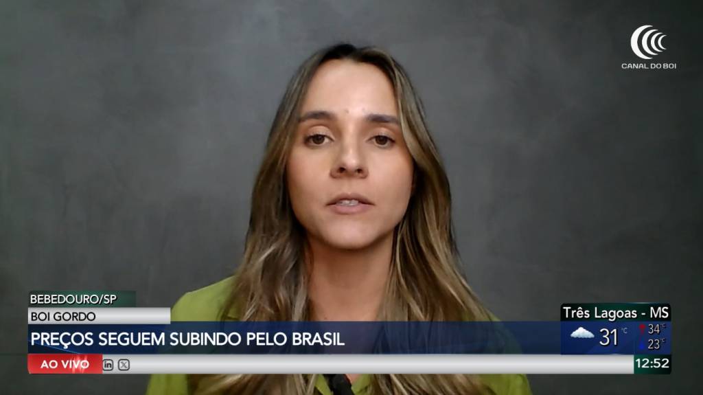 Boi gordo mantém trajetória de valorização no mercado brasileiro