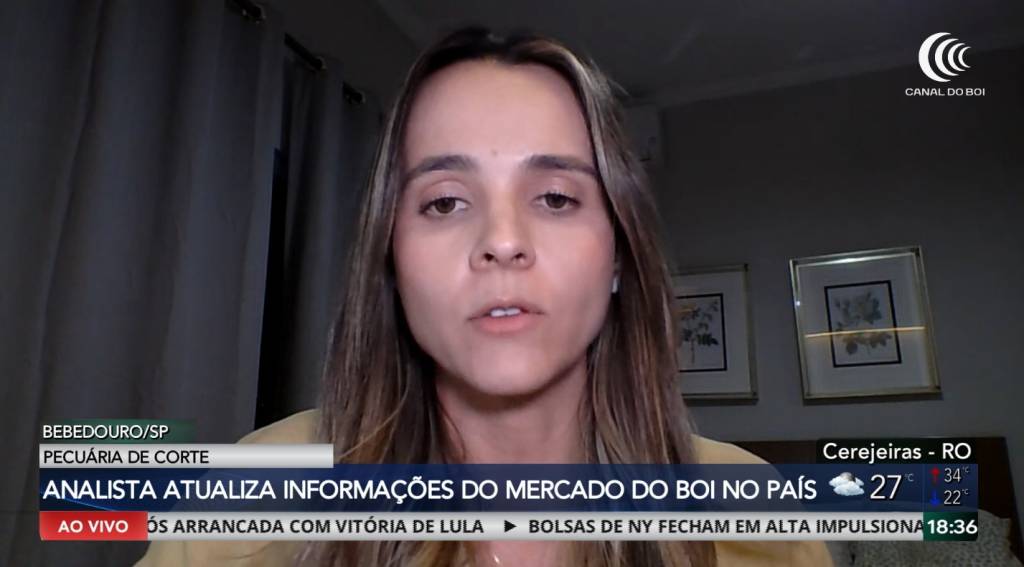 Eleições e o mercado do boi: o que esperar para 2027?