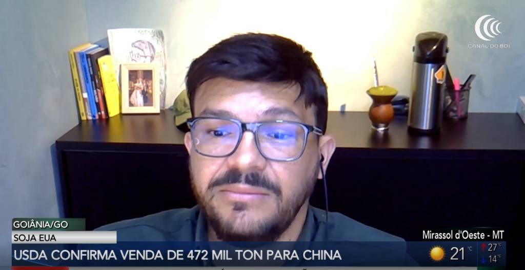 Venda de soja para a China impulsiona mercado após confirmação do USDA