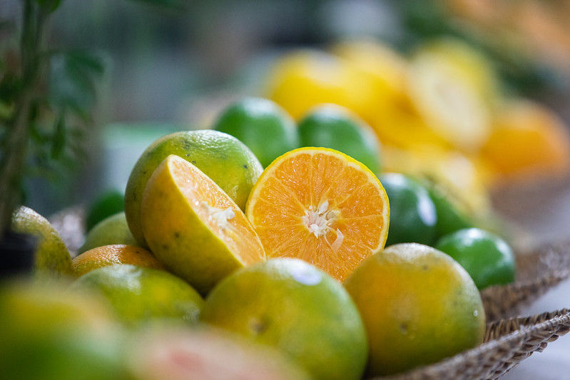 Negociações de laranja se iniciam com ofertas abaixo da safra anterior