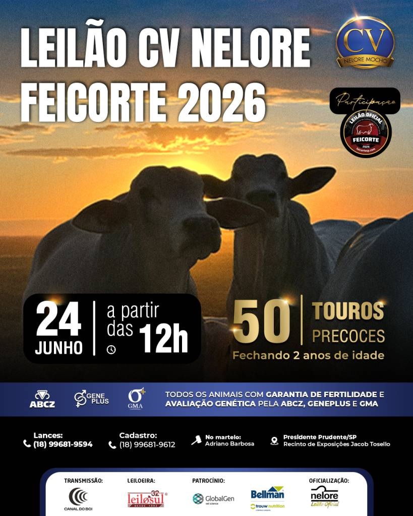 Leilão CV Nelore Feicorte 2026 oferta 50 touros precoces nesta quarta-feira em Presidente Prudente