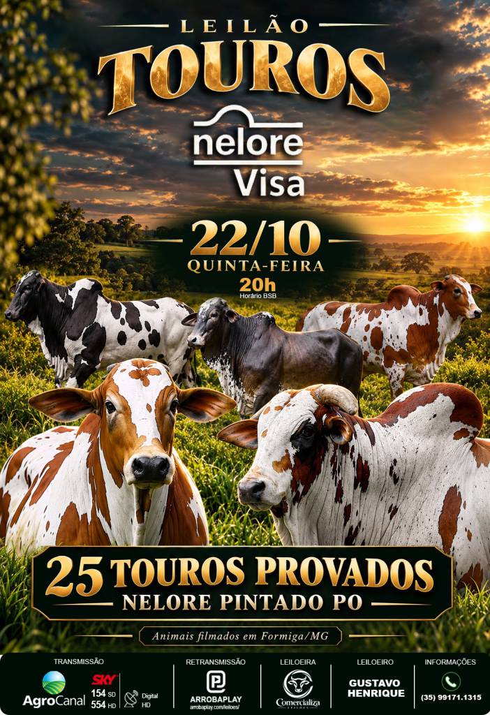 Nelore Visa oferta touros nelore pintado PO nesta quinta-feira no Canal do Boi