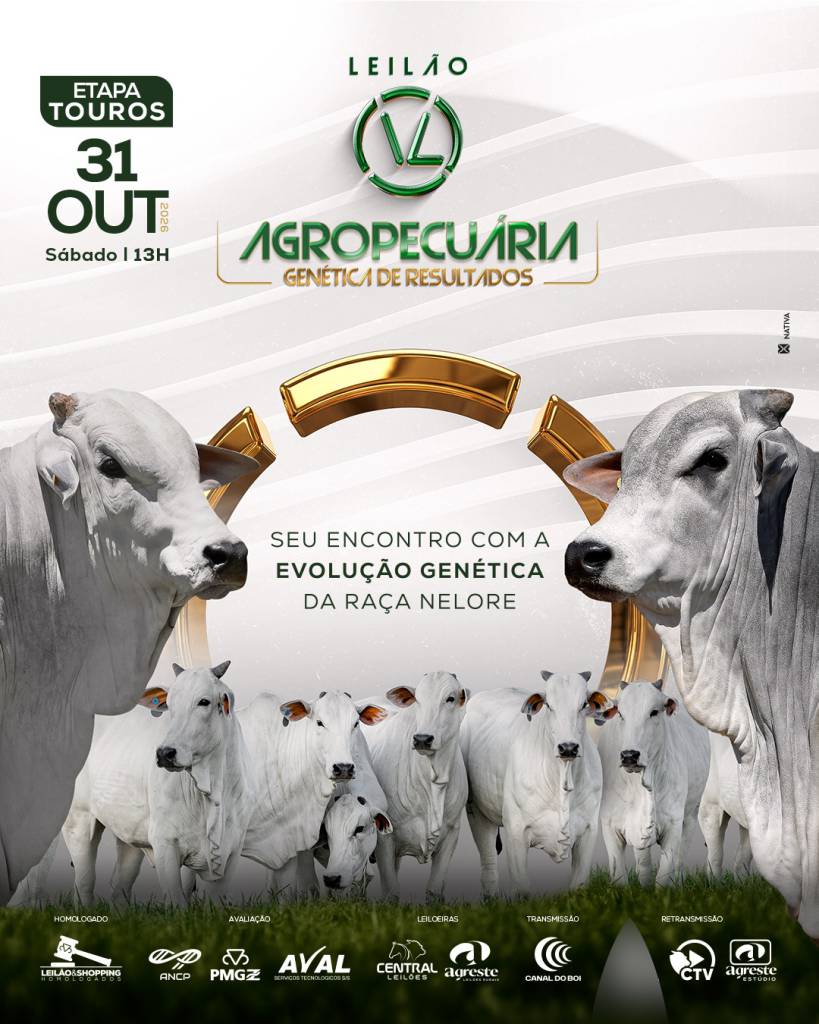 VL Agropecuária oferta reprodutores nelore PO avaliados neste sábado no Canal do Boi