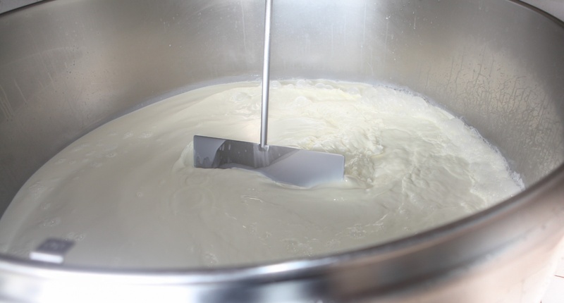 Captação de leite cresce no Brasil, mas preço pago ao produtor segue abaixo do registrado há um ano