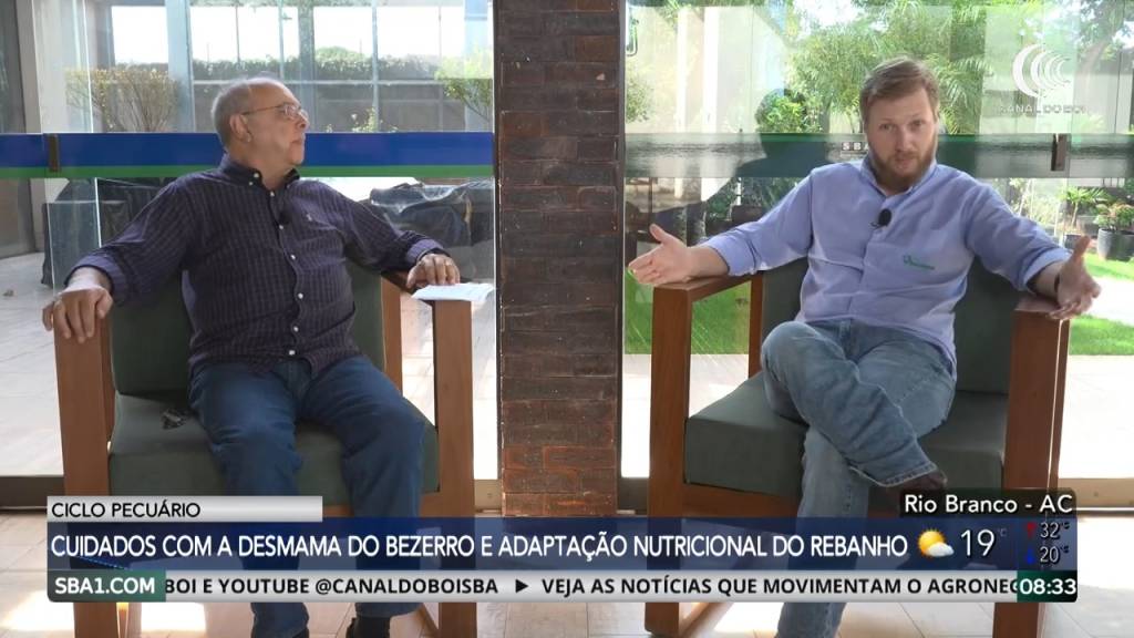 Desmama do bezerro exige atenção à nutrição; especialista explica como reduzir perdas