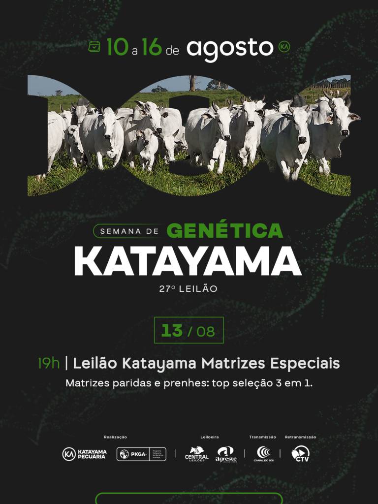 27º Leilão Katayama Matrizes Especiais hoje às 19h no Canal do Boi