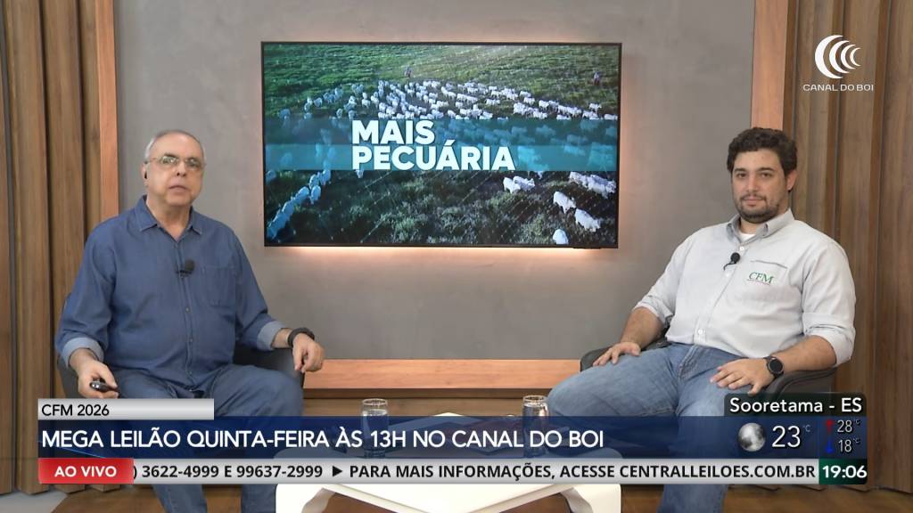 Mega Leilão CFM 2026 oferta 600 touros Nelore com transmissão ao vivo
