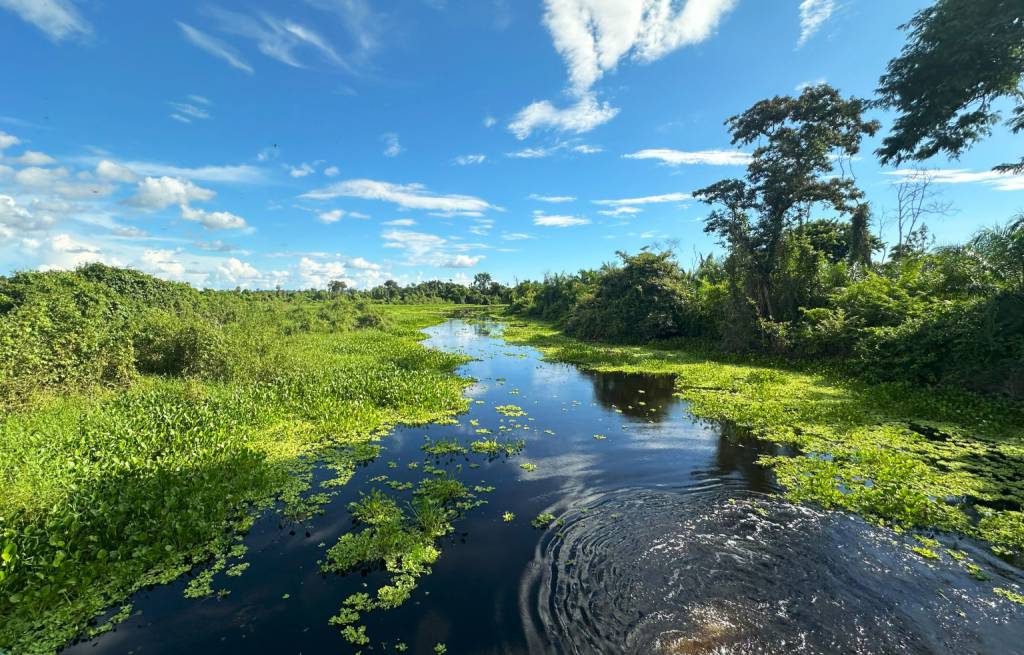 PSA Conservação fortalece preservação do Pantanal e beneficia produtores rurais em Mato Grosso do Sul