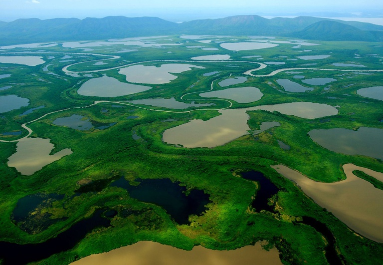 Adoção da Declaração do Pantanal no Segmento de Alto Nível da COP15 da Convenção Sobre Espécies Migratórias