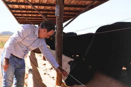 Mato Grosso é o primeiro contemplado com nova linha de crédito para pecuária sustentável