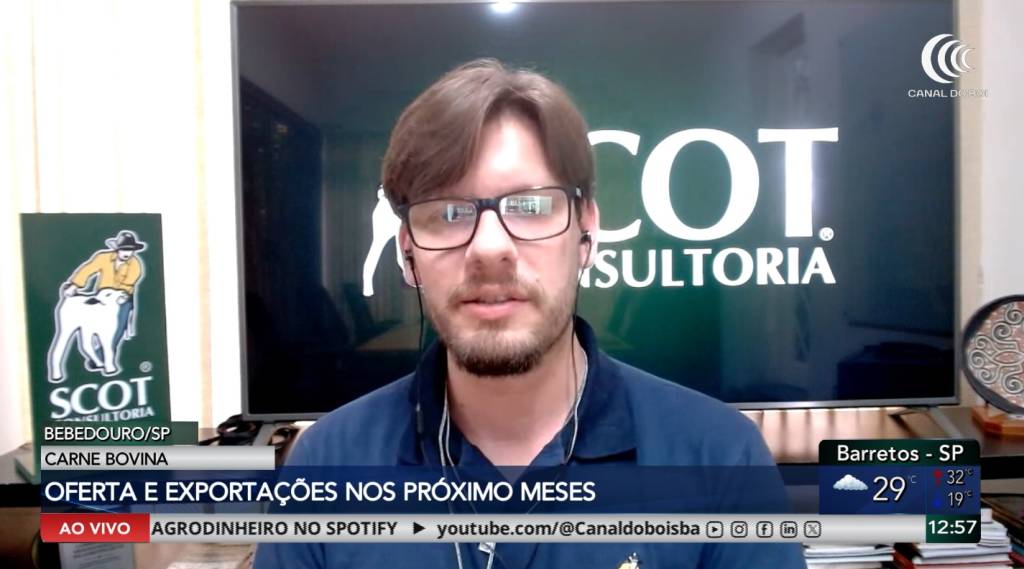 Boi gordo mantém melhora na relação de troca, enquanto mercado da carne bovina monitora oferta e exportações