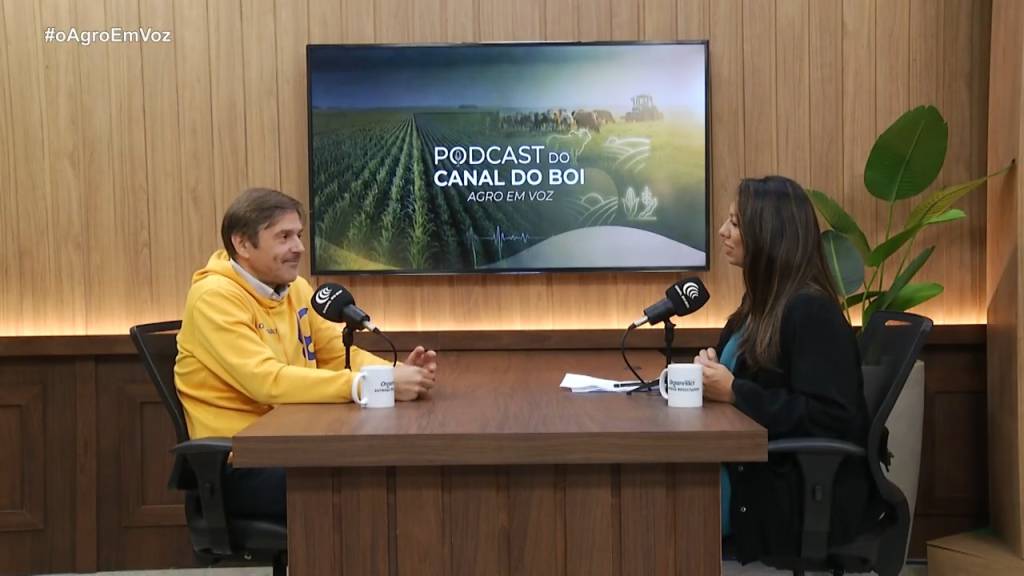 Cavalos no Brasil: como o amor pelos animais impulsiona o mercado equestre