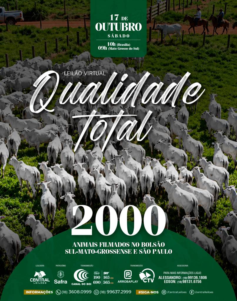 Leilão Virtual Qualidade Total oferta gado de corte neste sábado às 10h no Canal do Boi