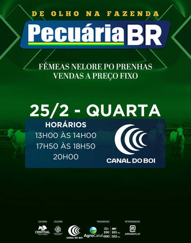 Pecuária BR vende a preço fixo fêmeas nelore PO com AOL, marmoreio e EGS no Canal do Boi