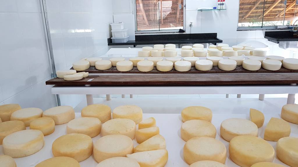 Agroindústria cresce 2,9% em março de 2026, em relação ao mesmo período do ano anterior, segundo o FGVAgro