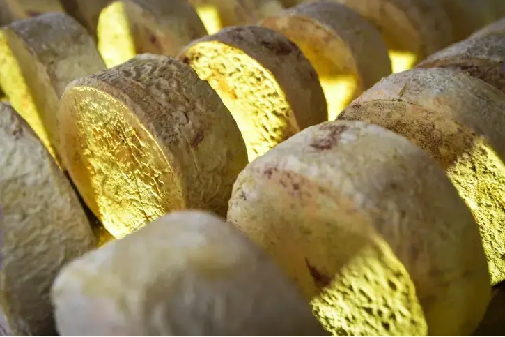 Concurso do Queijo de Mato Grosso recebe inscrições até 18 de junho
