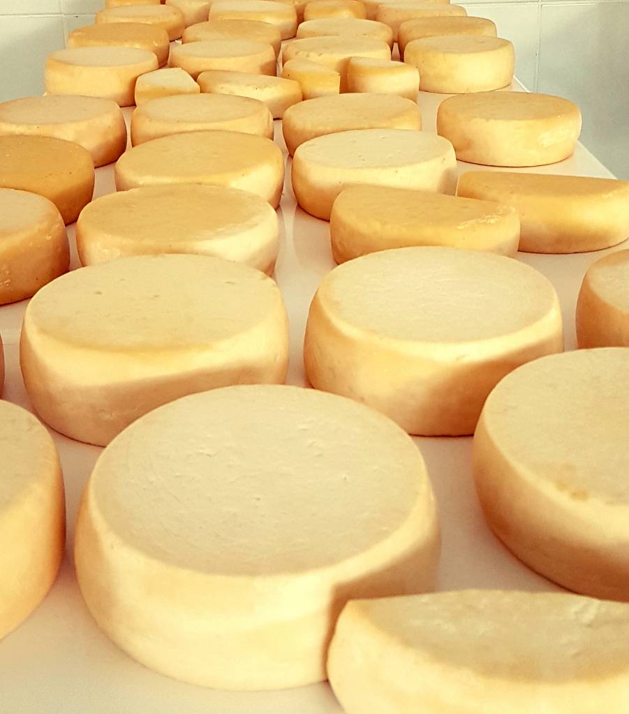 Na véspera do Dia Mundial do Queijo, Emater divulga dados inéditos da produção familiar em Minas