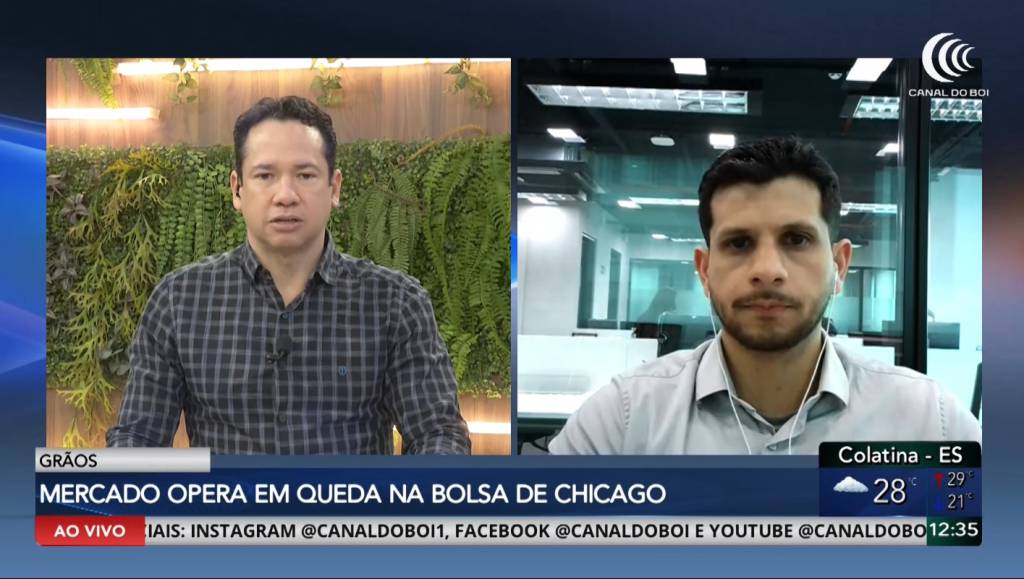 Grãos recuam em Chicago com pressão sobre trigo e milho