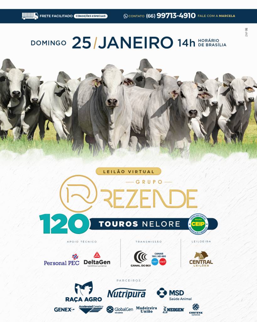  Leilão do Grupo Rezende oferta touros com Ceip neste domingo no Canal do Boi