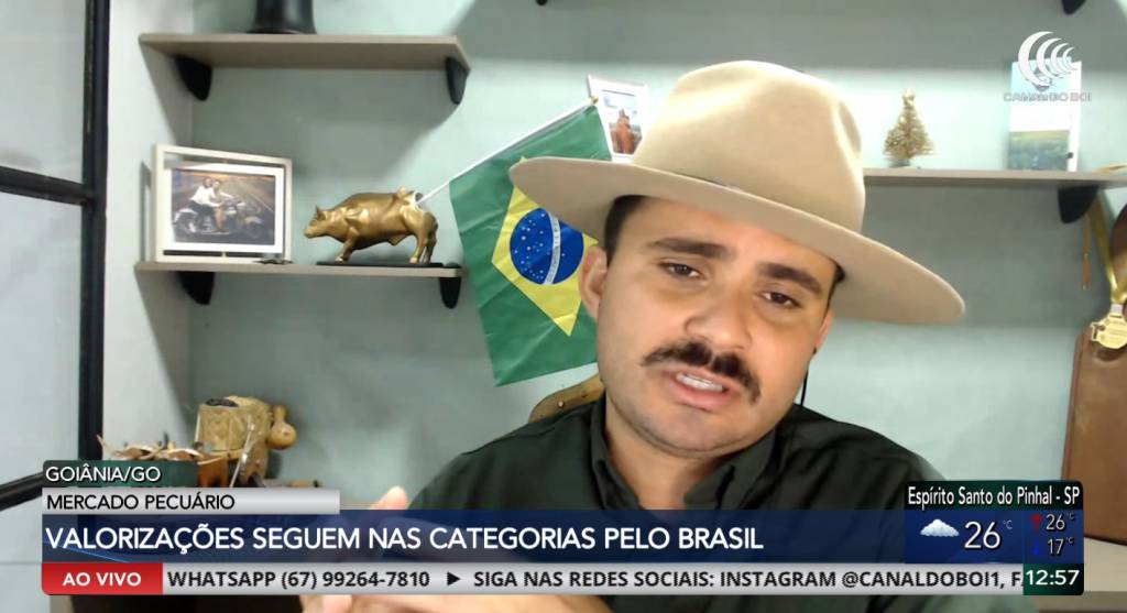Mercado pecuário mantém valorização em diferentes categorias