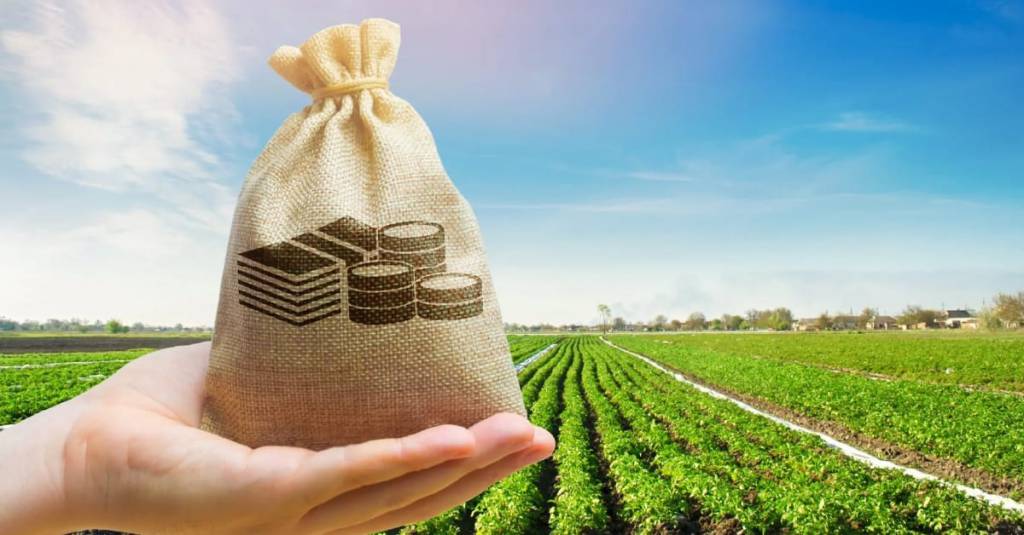 CMN atualiza regras do Proagro e reduz custo do seguro rural para a próxima safra