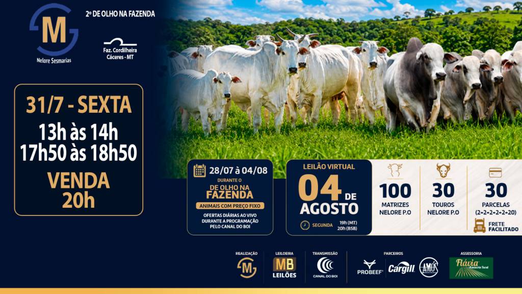 Canal do Boi transmite nesta sexta-feira rodada especial do 2º De Olho na Fazenda Nelore Sesmarias