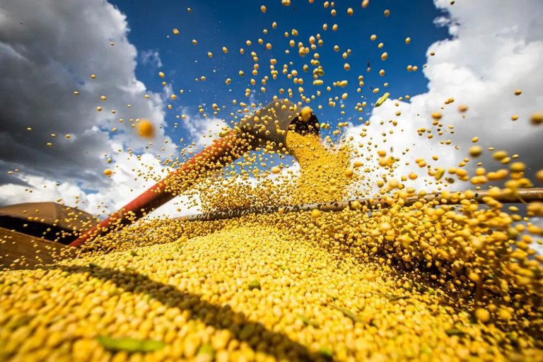 Grãos/Argentina: colheita de soja alcança 97,2% e de milho atinge 48,2%