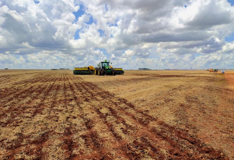 Plantio de trigo avança no Paraná e alcança 84% da área prevista