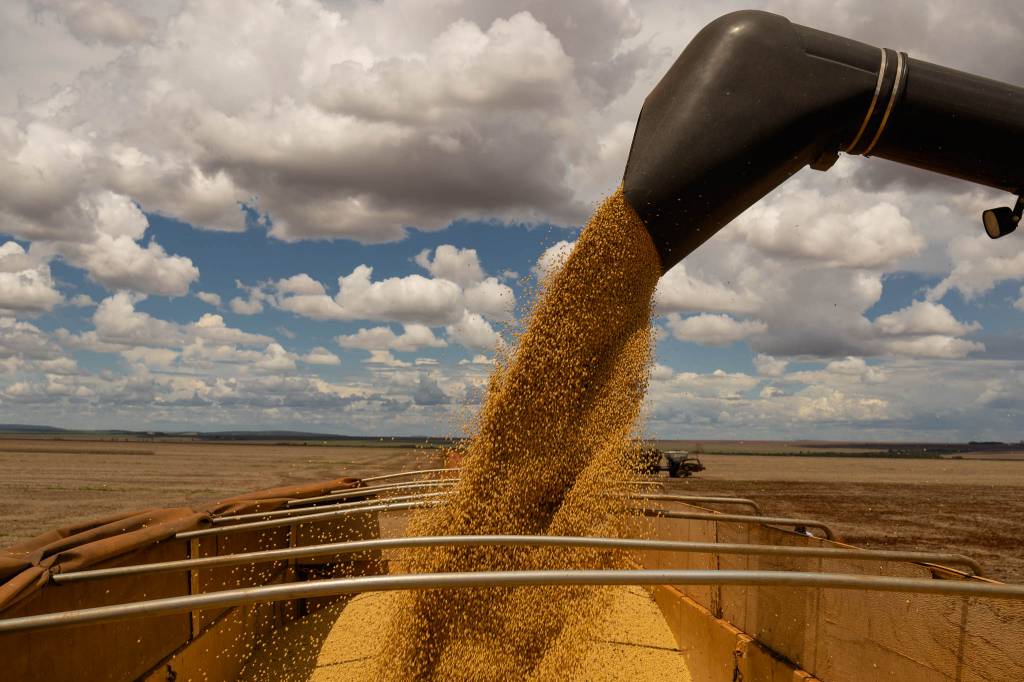 USDA eleva estimativa de milho do Brasil