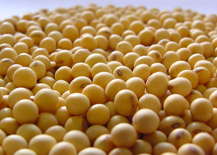 AgRural: plantio da safra de soja 2026/27 alcança 1,2% no Brasil