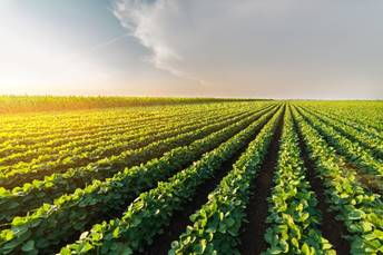 Transição climática em 2026 pode trazer riscos agrícolas e exige monitoramento, aponta StoneX