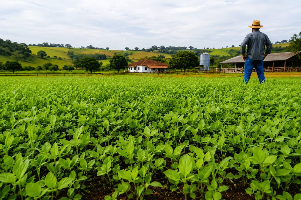 Aprosoja MT Vê Avanço em MP de Dívidas, mas Alerta para Gargalos