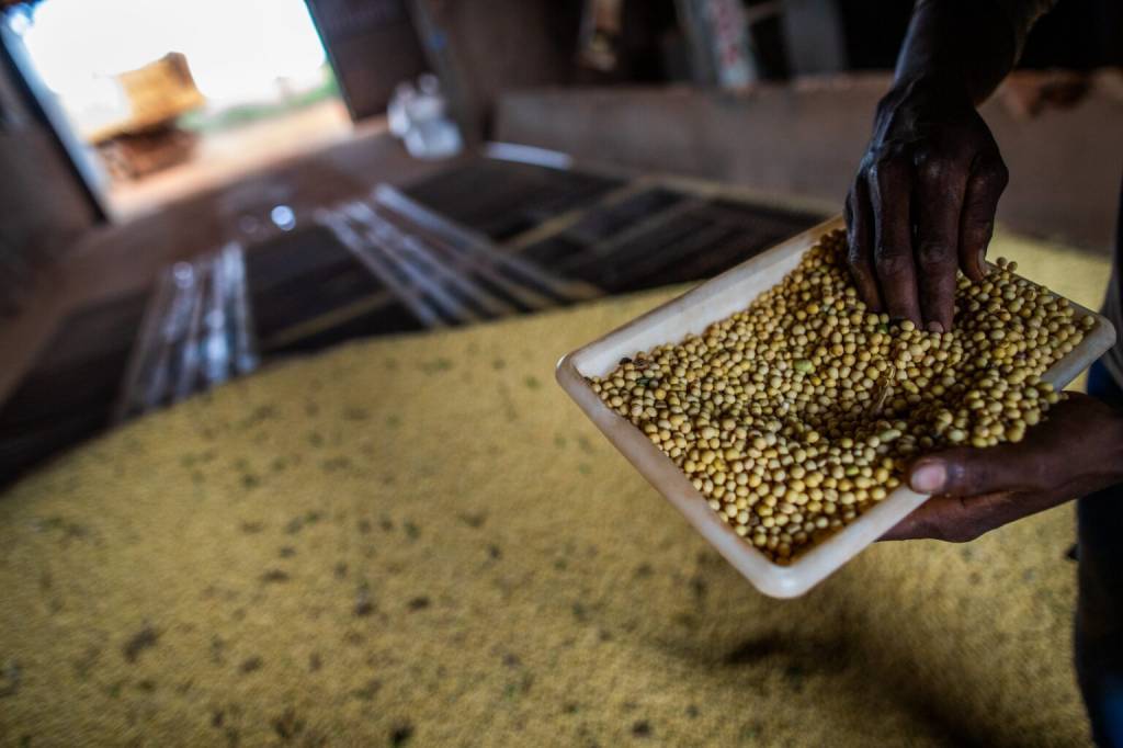 Produção chinesa de grãos bate recorde e atinge 714,9 milhões de t em 2025