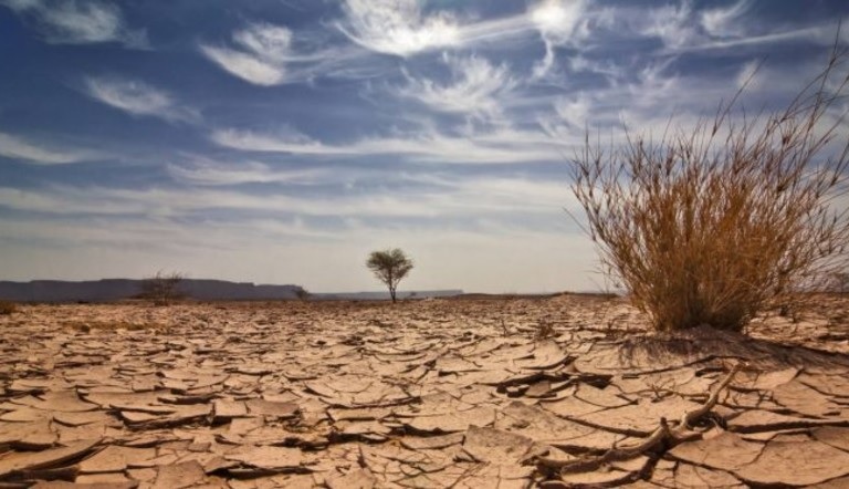 Volta do El Niño preocupa produtores e exige gestão de risco no campo