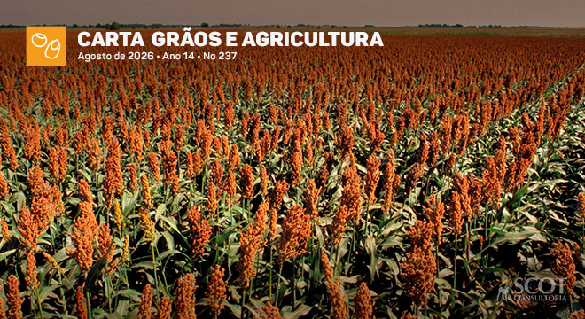 Carta Grãos e Agricultura - Safra recorde de sorgo