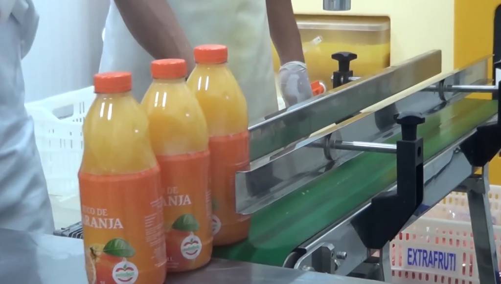 Menor safra 26/27 pode aliviar estoque de suco de laranja