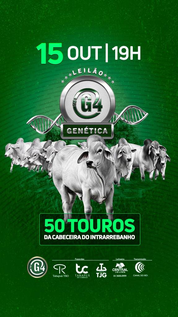 Leilão TABG4 Genética oferta 50 touros tabapuã jovens de cabeceira nesta quinta-feira no Canal do Boi