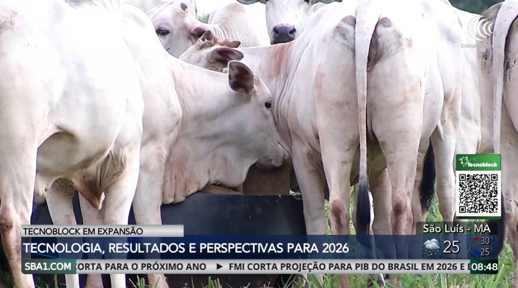 Tecnoblock projeta expansão com muita tecnologia e resultados na alimentação animal em bloco