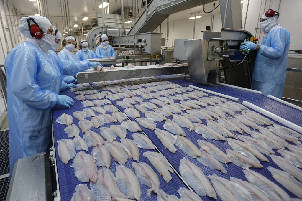 Acordo Mercosul-UE abre janela de oportunidade para a tilápia e peixes nativos brasileiros na Europa