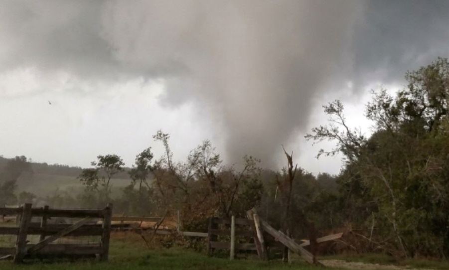Sistema FAEP orienta produtores a registrar danos após tornado no Paraná