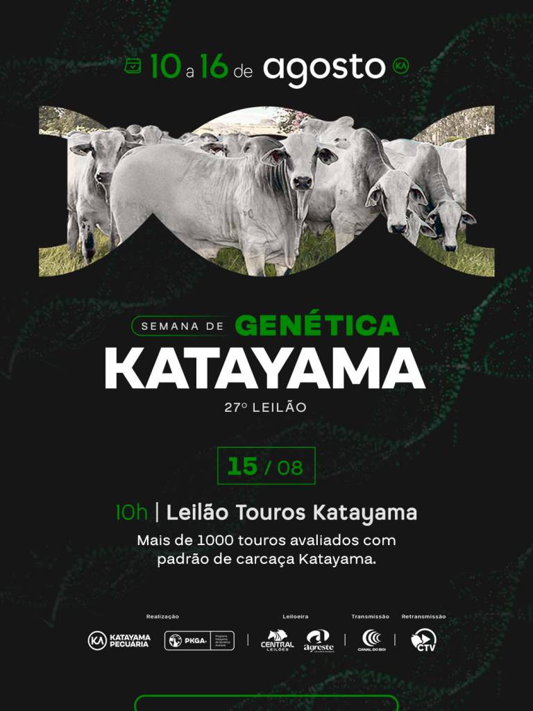 Katayama oferta mais de 1.000 touros neste sábado no Canal do Boi