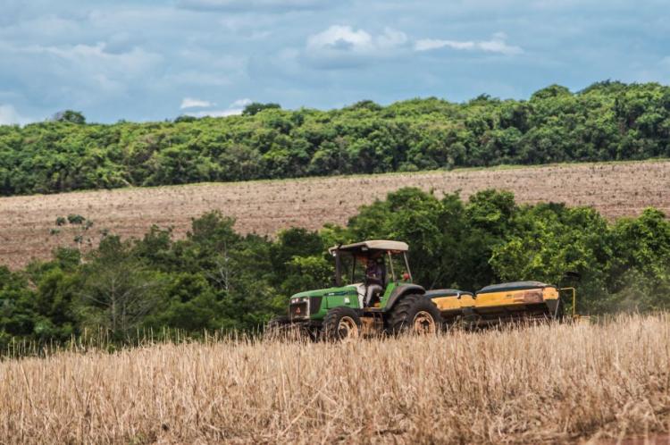 CNA: agropecuária abre 12.523 vagas em julho; Centro-Oeste lidera