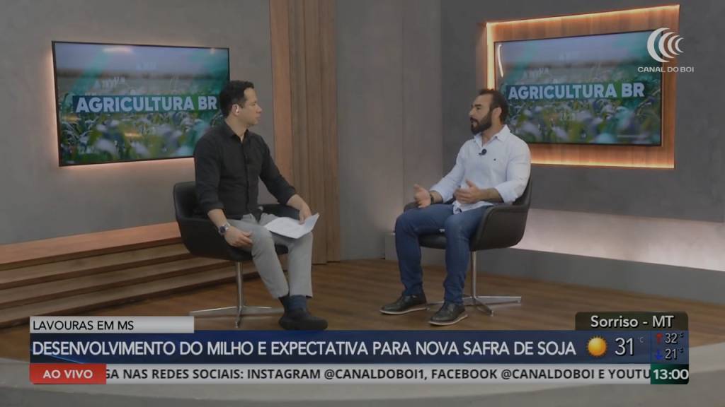 Desenvolvimento do milho e planejamento da nova safra em MS