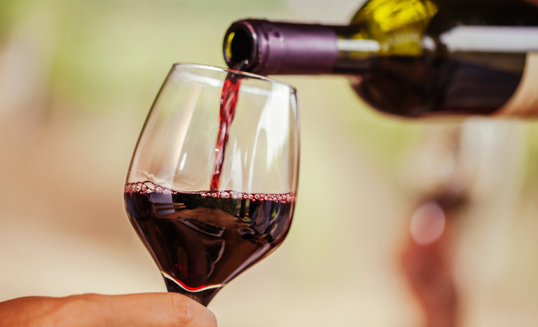 Mapa publica Anuário do Vinho com informações sobre a cadeia produtiva da bebida no Brasil referentes ao ano de 2025
