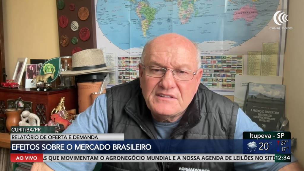 Aumento da oferta americana pressiona cotações do milho no Brasil